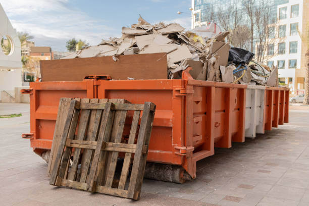 Attic Cleanout Services in Valrico, FL